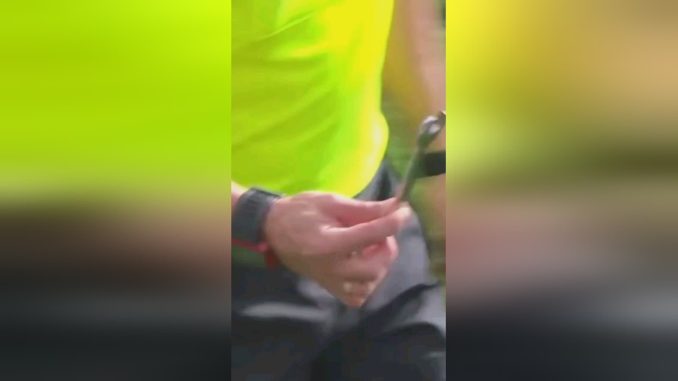 成了一